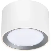 Landon 8 Surface-Mounted Downlight with Moodmaker - White