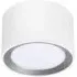 Landon Smart Ceiling Light - White