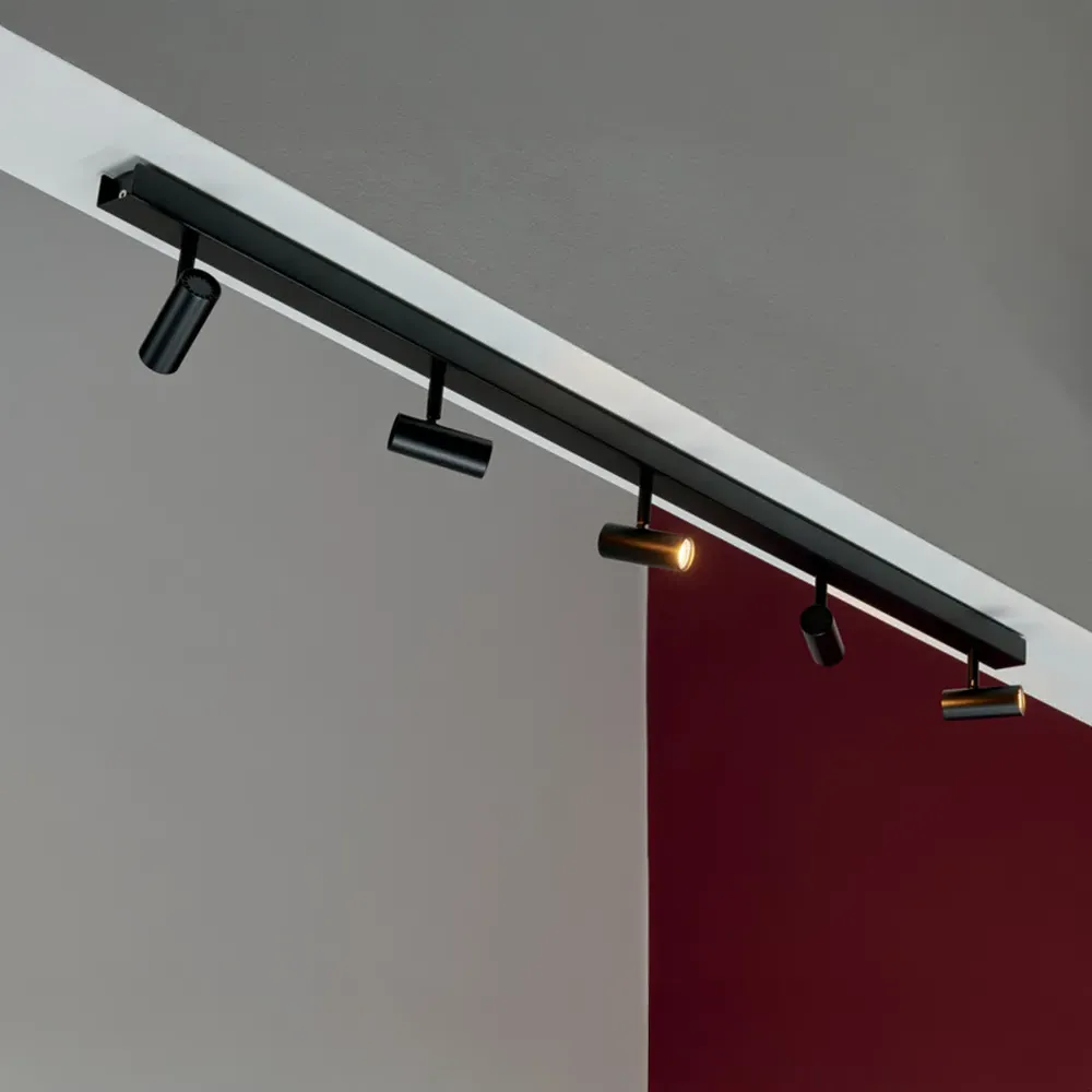 Omari 5 Spot Ceiling Light with Dimming - Black