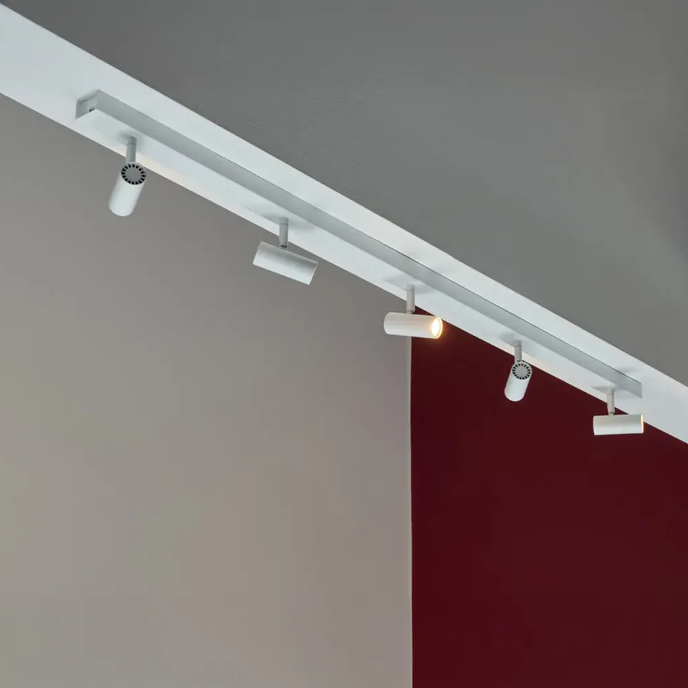 Omari 5 Spot Ceiling Light with Dimming - White