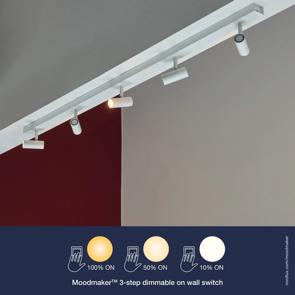 Omari 5 Spot Ceiling Light with Dimming - White