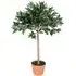 3ft Olive Tree Artificial Plant in Pot - Multi