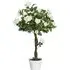 3ft Rose Tree Artificial Plant In Pot - White