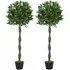 Bay Leaf Laurel Ball Tree Artificial Plant In Pot 4ft 2 Pack
