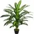 Dracaena Tree Artificial Plant In Pot 3.6ft - Multi
