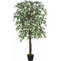 Ficus Tree Artificial Plant In Pot 5.2ft - Multi