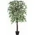 Ficus Tree Artificial Plant In Pot 5.2ft - Multi