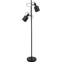 Aaron Metal Floor Lamp with Moveable Heads - Black