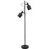 Aaron Metal Floor Lamp with Moveable Heads - Black