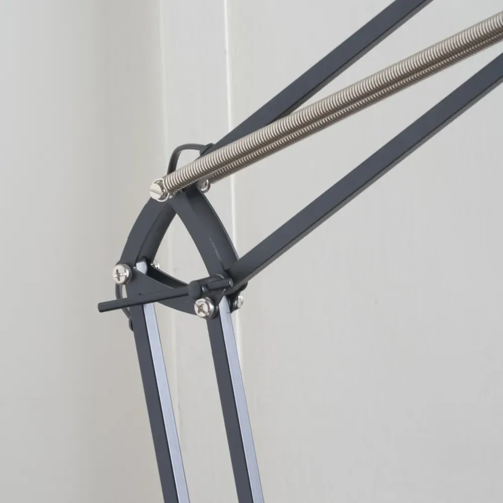 Alonzo Floor Lamp with Adjustable Arm - Black, Metal