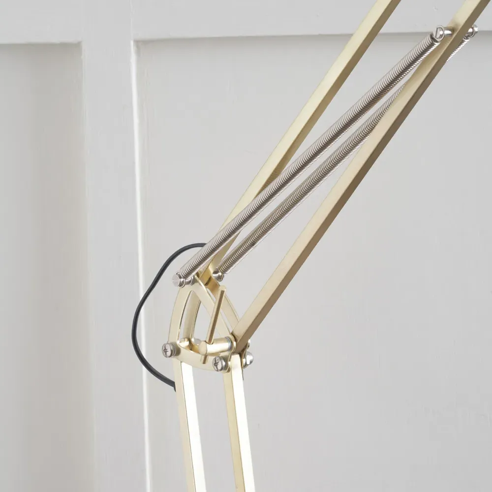 Alonzo Floor Lamp with Adjustable Arm - Brass, Metal