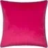 Meridian Raspberry Velvet Cushion - Teal