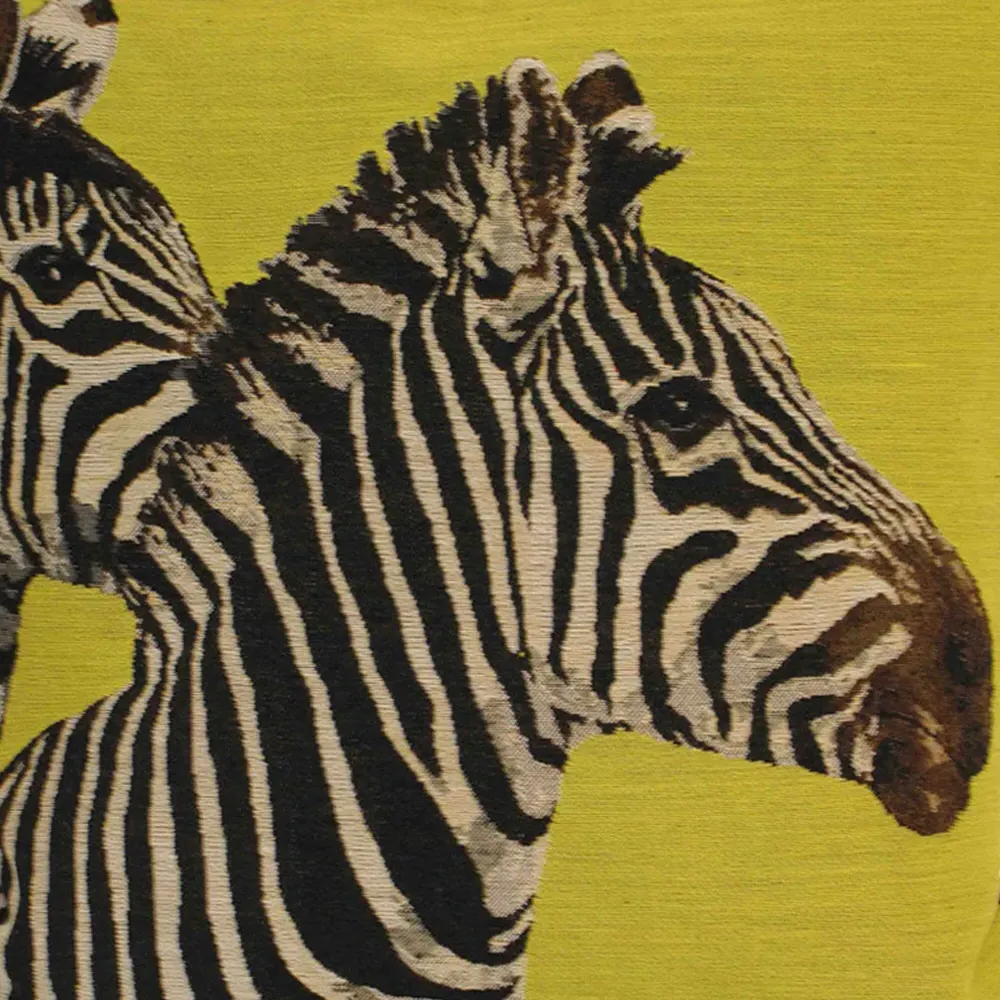 Paoletti Twin Zebra Piped Cushion - Green