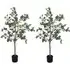 120cm Artificial Eucalyptus Plant 2 Pack - Green, Silk