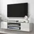 2 Door 2 Shelf Floating TV Stand Cabinet - White