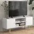 2 Door 2 Shelf TV Cabinet - White
