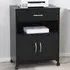 2 Door Single Drawer Printer Table - Black
