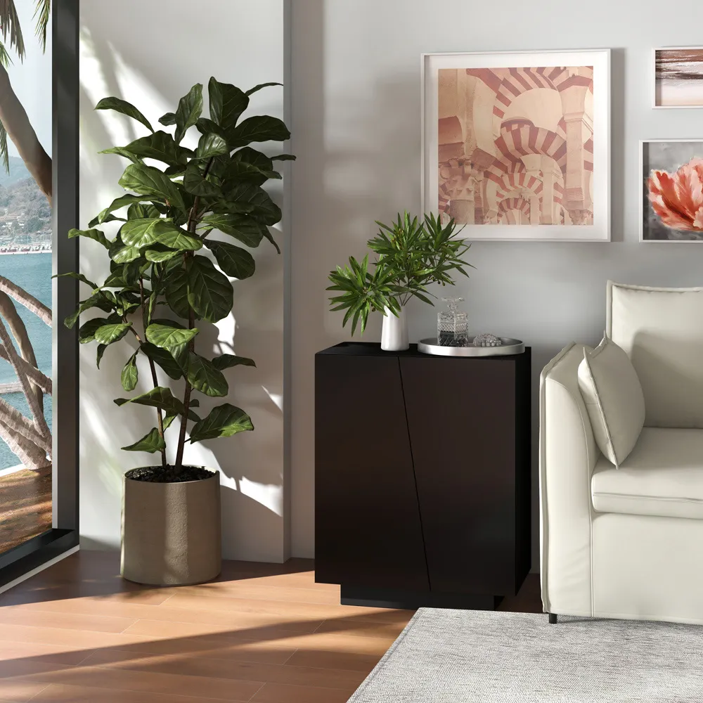 2 Door Storage Cabinet - Black