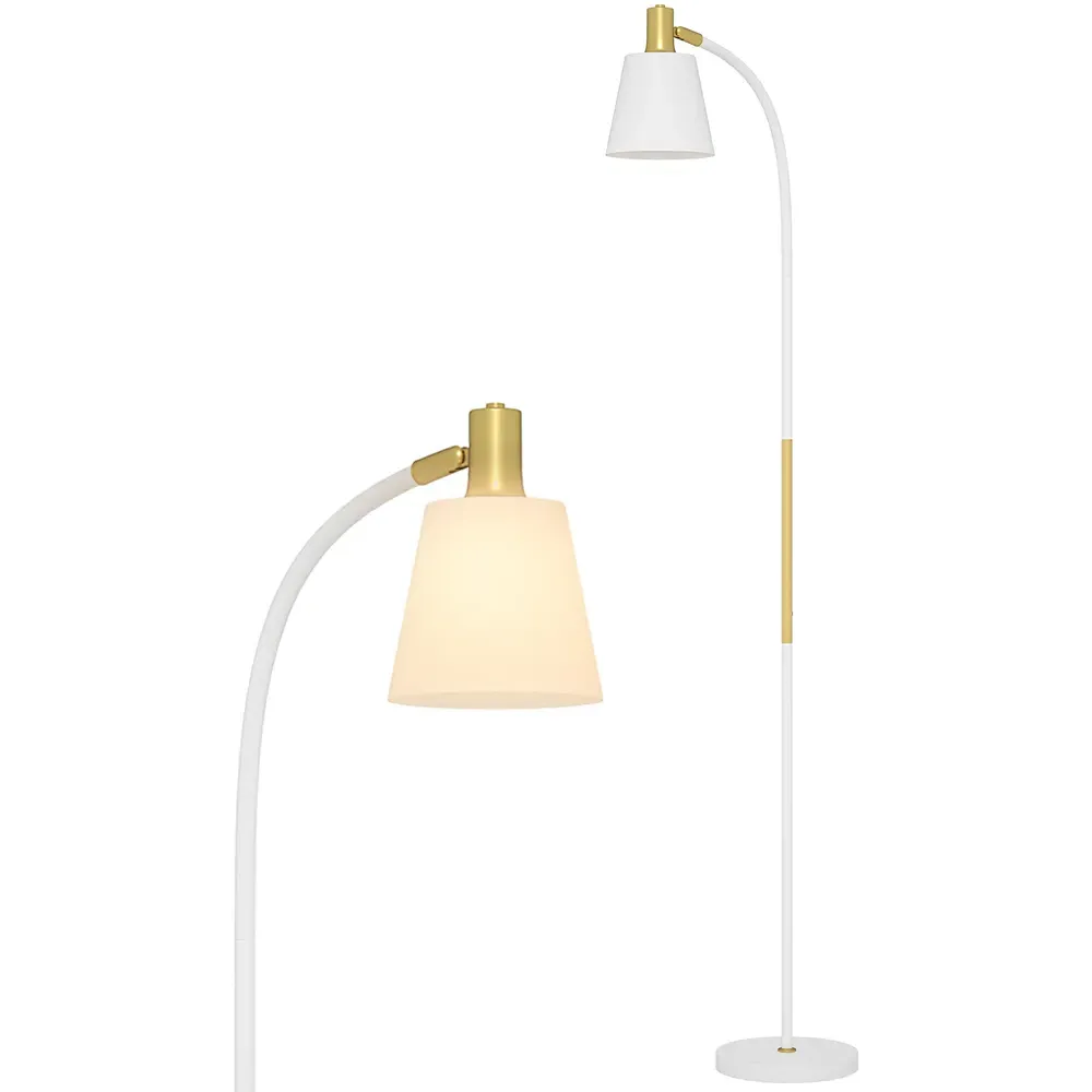 Adjustable Spotlight Reading Floor Lamp - White