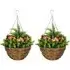 Artificial Lisianthus Hanging Planter 2 Pack - Orange