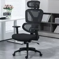 Black Mesh Office Chair with Adjustable Headrest