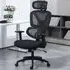 Black Mesh Office Chair with Adjustable Headrest