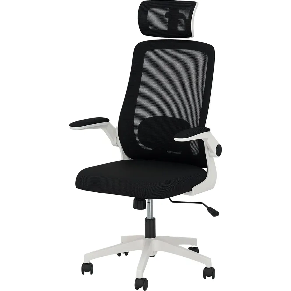 Executive Mesh Office Chair with Lumbar Support - Black