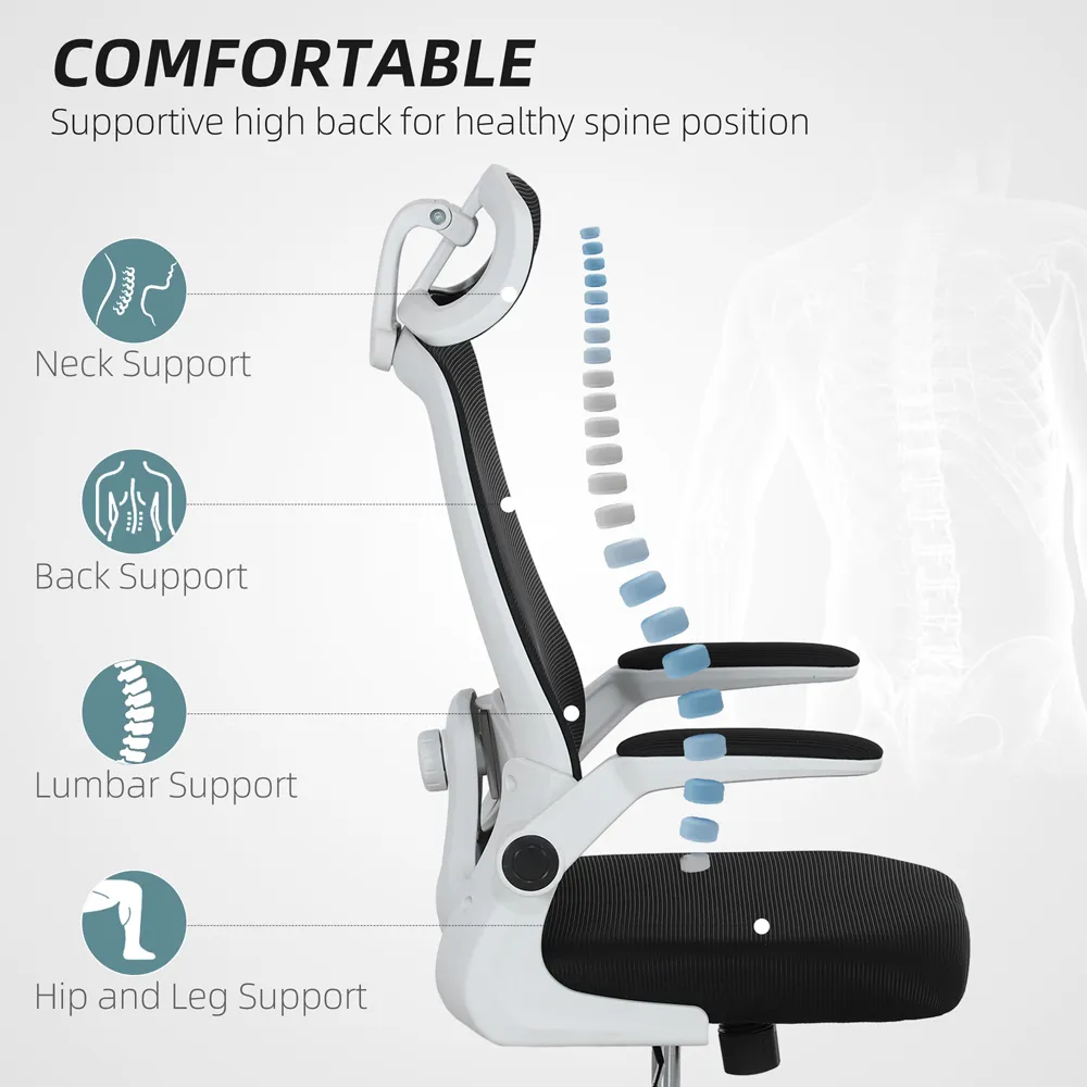 Executive Mesh Office Chair with Lumbar Support - Black