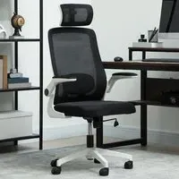 Executive Mesh Office Chair with Lumbar Support - Black