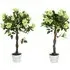 Green Rose Artificial Tree in Pot 90cm 2 Pack - Green