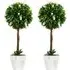 Lavender Ball Tree Artificial Plants 2 Pack - White