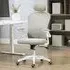 Mesh Office Chair with 4D Lumbar Support - Grey