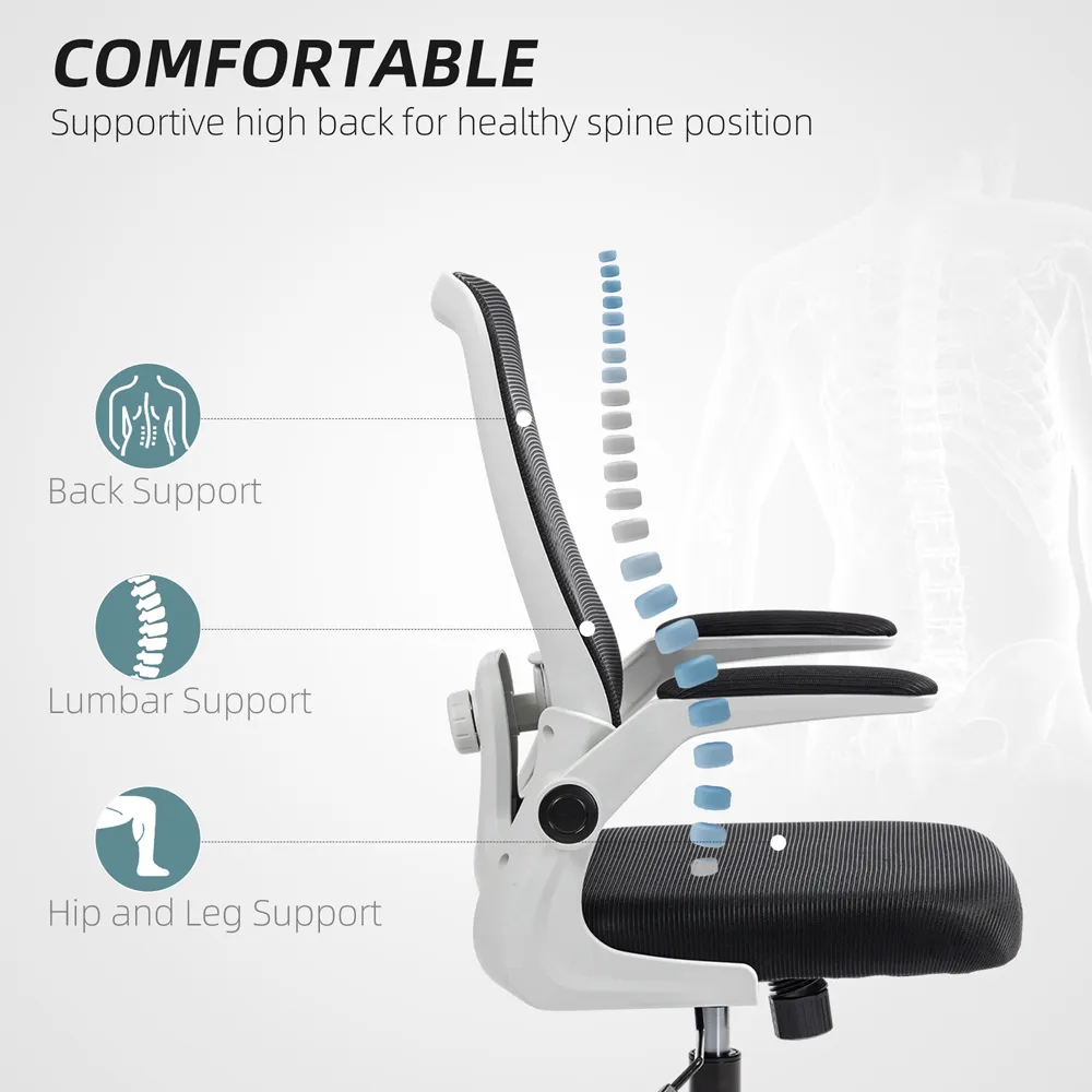 Mesh Office Desk Chair with Lumbar Support - Black