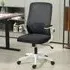 Mesh Office Desk Chair with Lumbar Support - Black