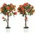 Orange Rose Artificial Tree in Pot 90cm 2 Pack