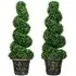 Spiral Boxwood Artificial Plant 2 Pack - Green