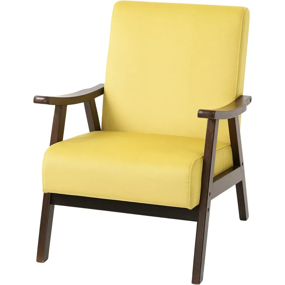 Velvet Solid Wood Frame Armchair - Champagne