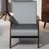 Velvet Solid Wood Frame Armchair - Grey