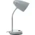 Flexi Desk Lamp with Adjustable Gooseneck - Grey