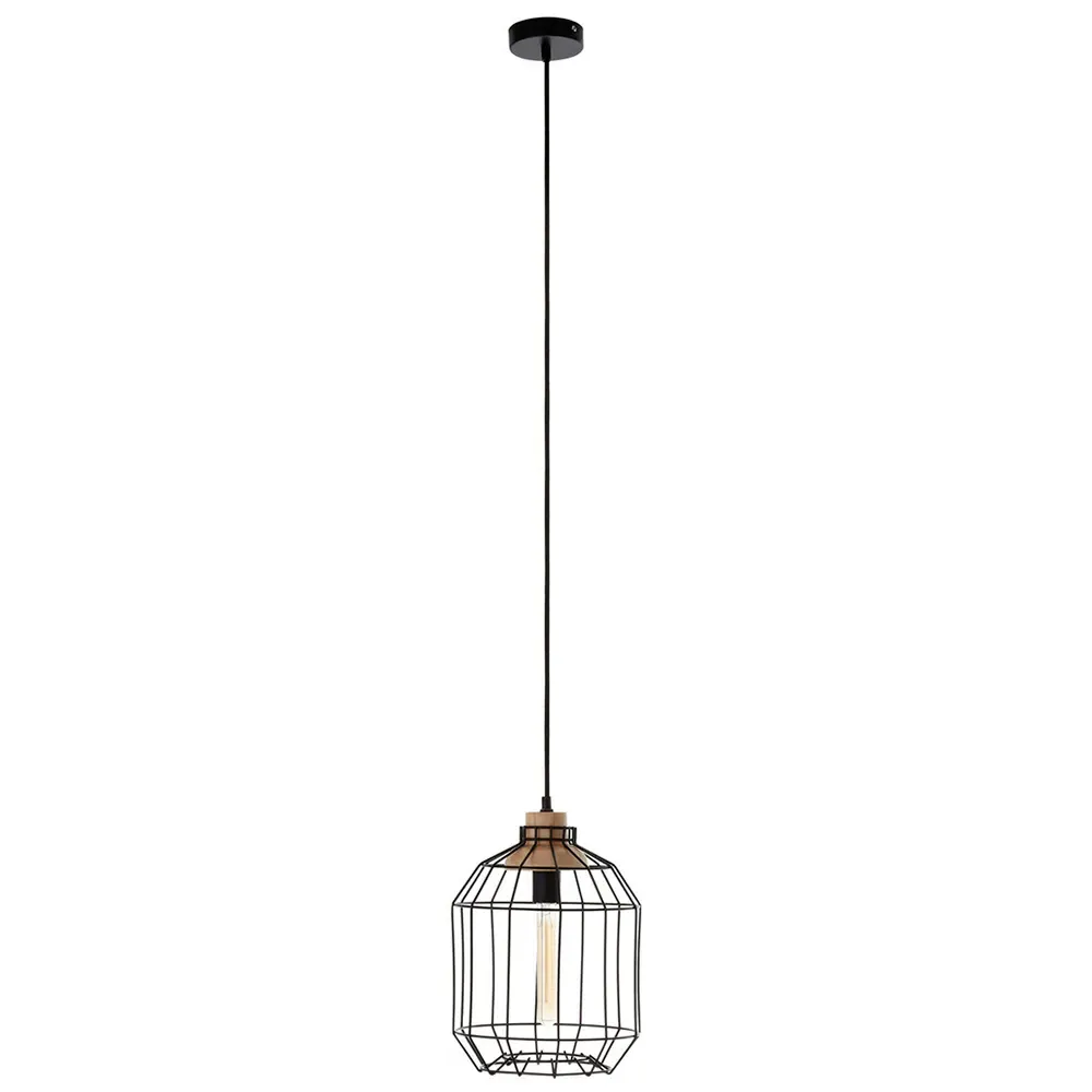 Wire Cage Pendant Light - Black, Iron