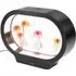 Realistic Jellyfish Light with 5 Colors - Black