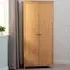 Oslo 2 Door Wardrobe - Antique Pine
