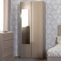 Paris 2 Door Mirror Wardrobe - Brown, Ash Effect
