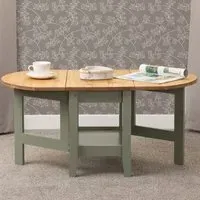 Santos Drop Leaf Coffee Table with Storage - Green, Pine