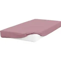 Single Fitted Bed Sheet - Misty Rose, Cotton Polyester