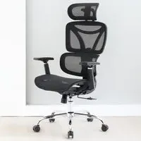 Elite Mesh Office Chair with Lumbar Support - Black