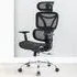 Elite Mesh Office Chair with Lumbar Support - Black