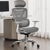 Elite Office Chair with Lumbar Support - Grey, Mesh
