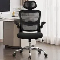 Mesh Office Chair with Lumbar Support - Black