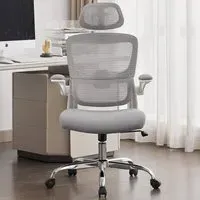 Supreme Office Chair with Lumbar Support - Grey, Mesh
